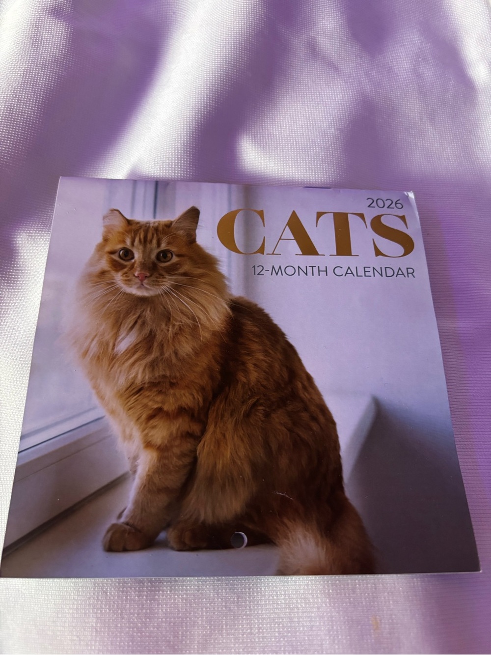 2026 Mini Cats 12-Month Wall Calendar Small Cat Calendar- July-December remains